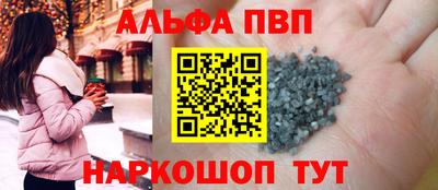СК Новодвинск