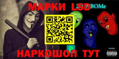 СК Новодвинск