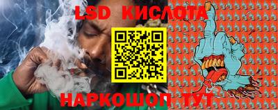 СК Новодвинск