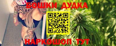 СК Новодвинск