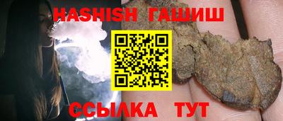 СК Новодвинск