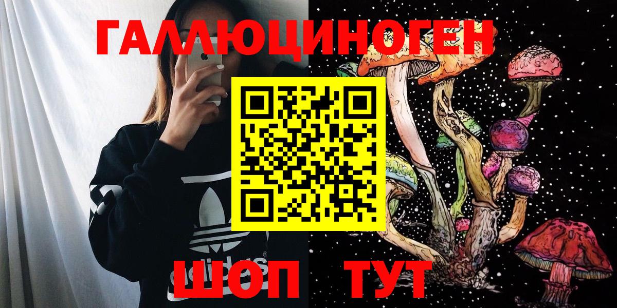 Псилоцибиновые грибы Psilocybine cubensis Сегежа